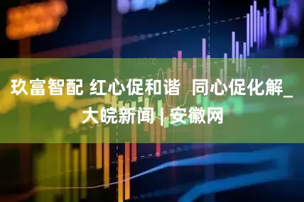 玖富智配 红心促和谐  同心促化解_大皖新闻 | 安徽网
